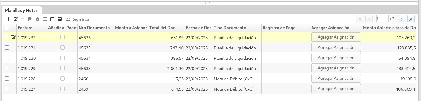 Pestaña Documentos pendientes por pago